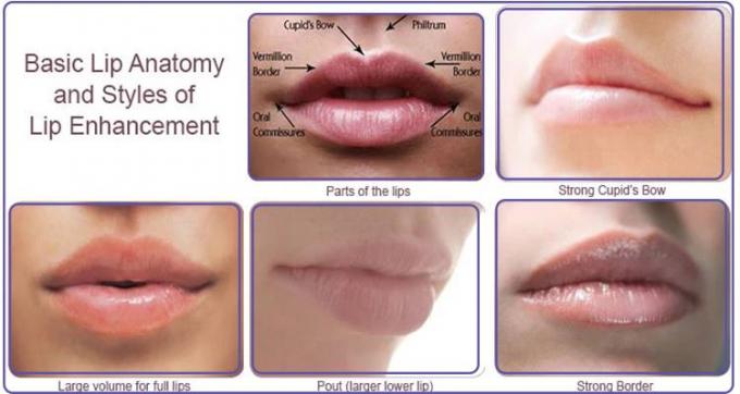 Tenez l'élargissement professionnel de lèvres de remplisseurs injectables de lèvre d'humidité sans chirurgie